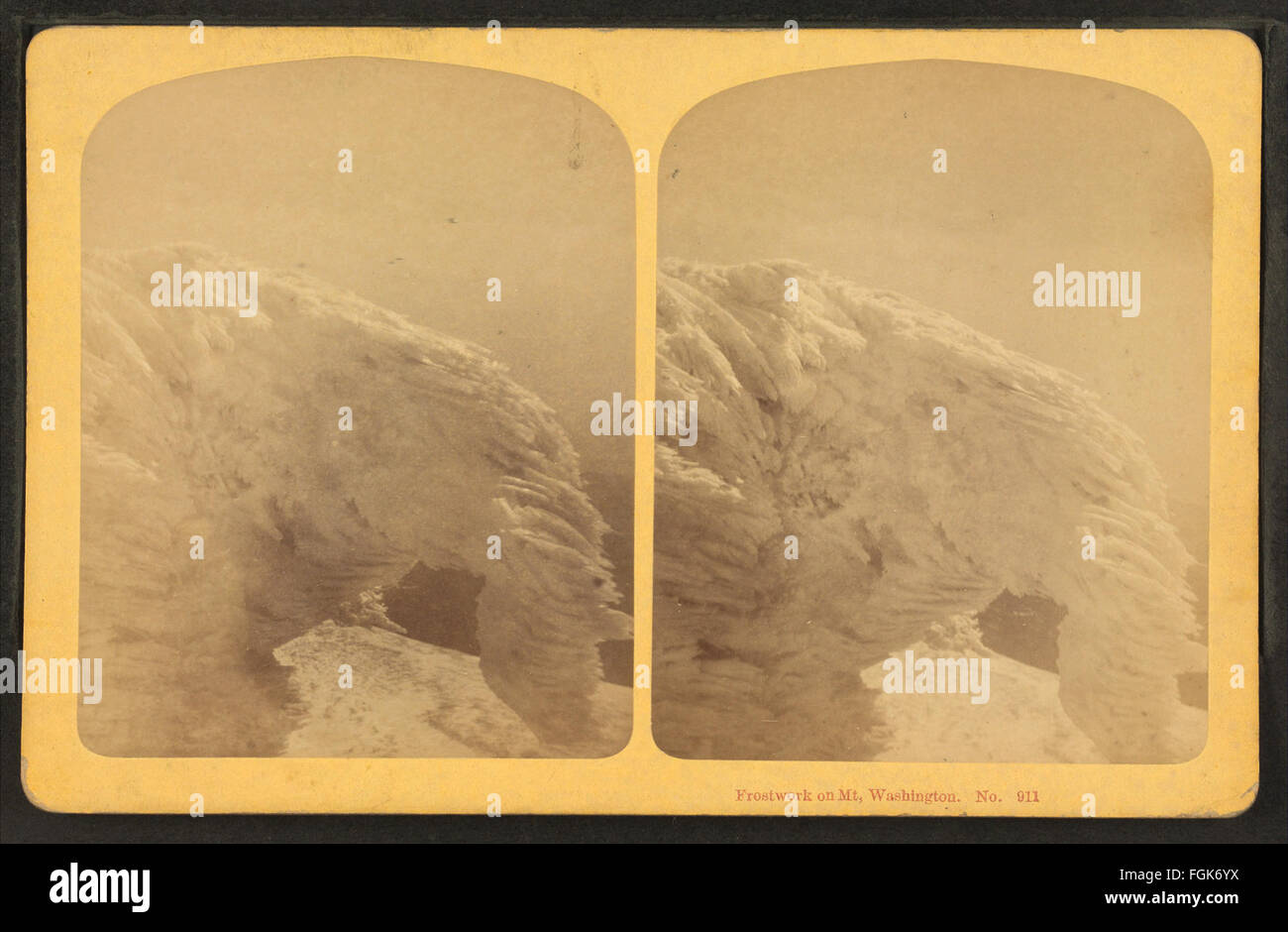 This photograph by G.H. Aldrich & Co. depicts frost work on Mt ...