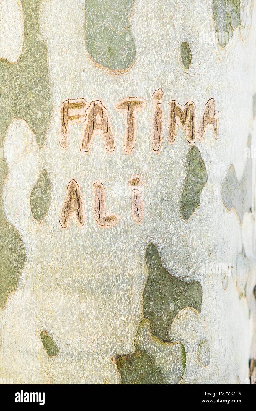 The Names Fatima And And Ali Engraved Into The Bark Of A Tree Stock Photo Alamy