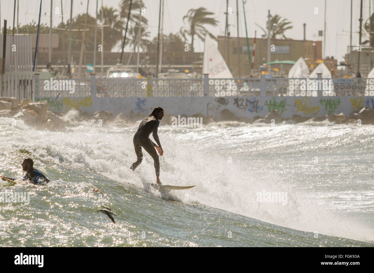 Fuengirola, Malaga, Andalusia, Spain. 20th February, 2016. Code orange is given for high waves and wind. Surfer takes advantage of high waves. Credit:  Perry van Munster/ Alamy Live News Stock Photo