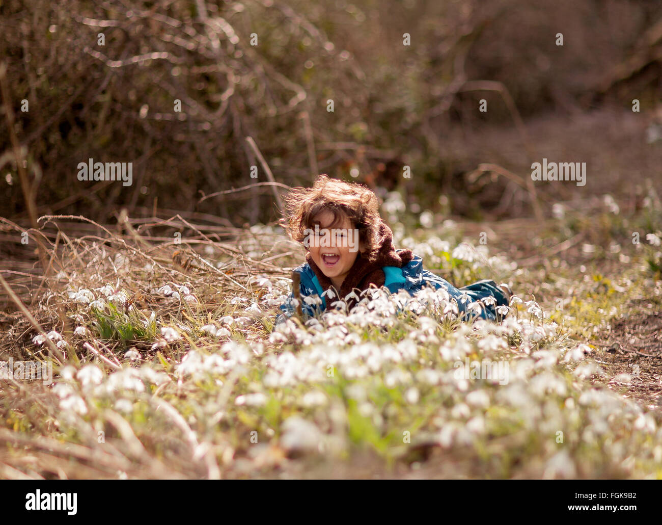 3 year old, mixed race boy, enjoying February March sunshine amongst snowdrops. Stock Photo