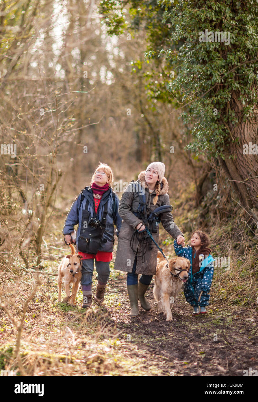 A February woodland walk for three generations of family. Stock Photo