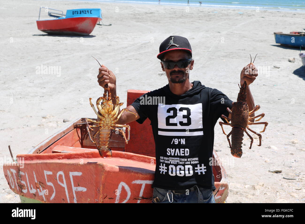 Rock lobster catch at Paternoster, Western Cape, South Africa Stock