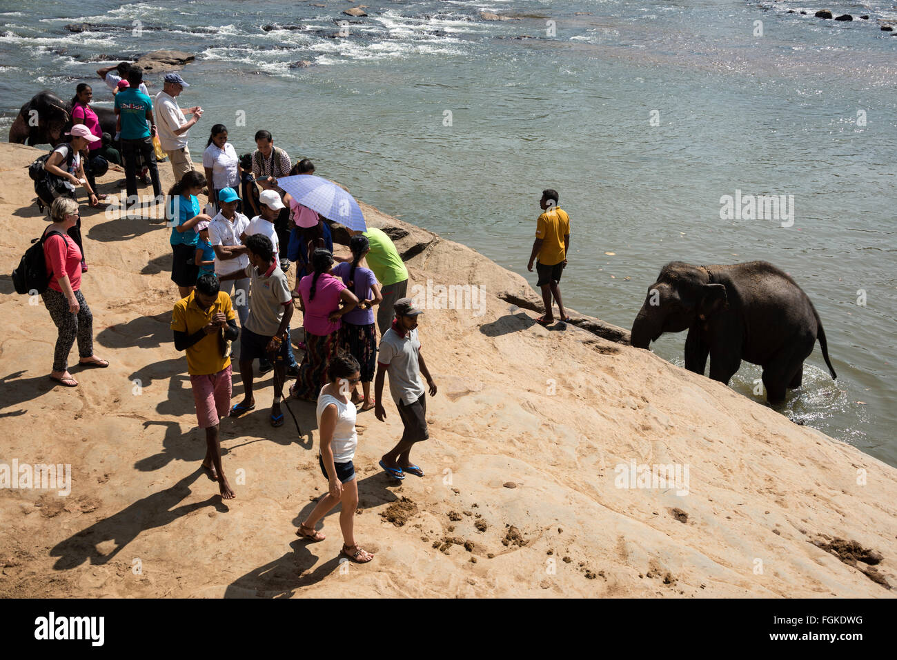 A gathering of tourists take a closer look at the elephants  in the nearby Maha Oya river from the Pinnawela Elephant Orphanage Stock Photo