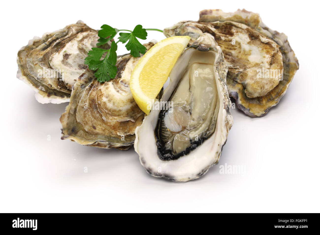 fresh oysters isolated on white background Stock Photo