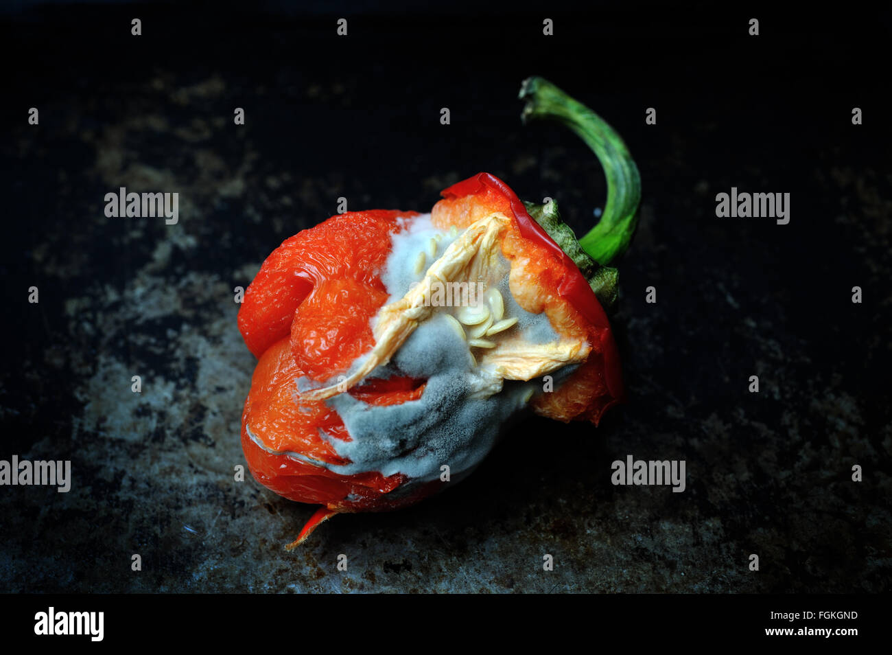 Rotting or decaying red bell pepper still life Stock Photo Alamy