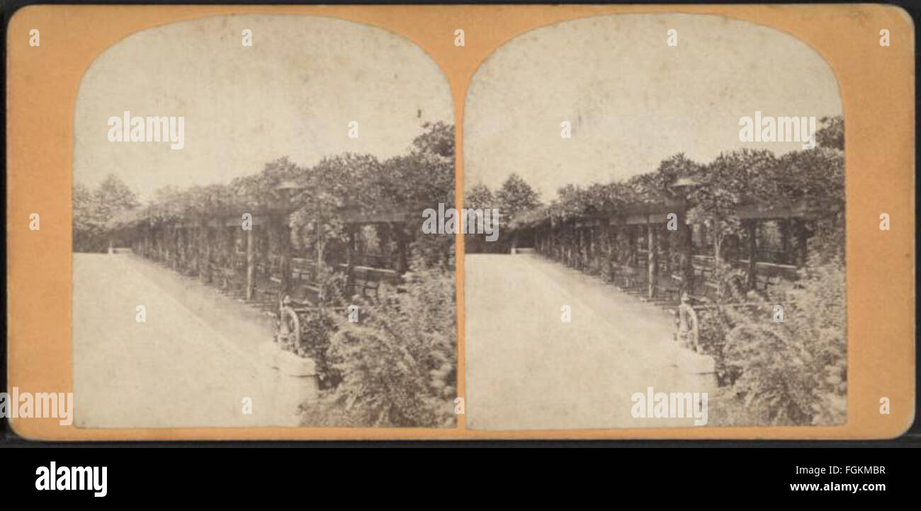 Vine clad arbor, Central Park, N.Y, from Robert N. Dennis collection of stereoscopic views 2 Stock Photo