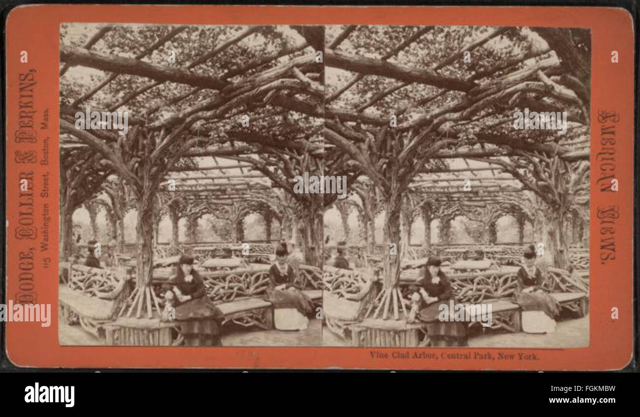 Vine clad arbor, Central Park, N.Y, from Robert N. Dennis collection of stereoscopic views 4 Stock Photo