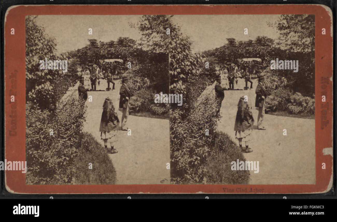 Vine Clad Arbor, from Robert N. Dennis collection of stereoscopic views Stock Photo