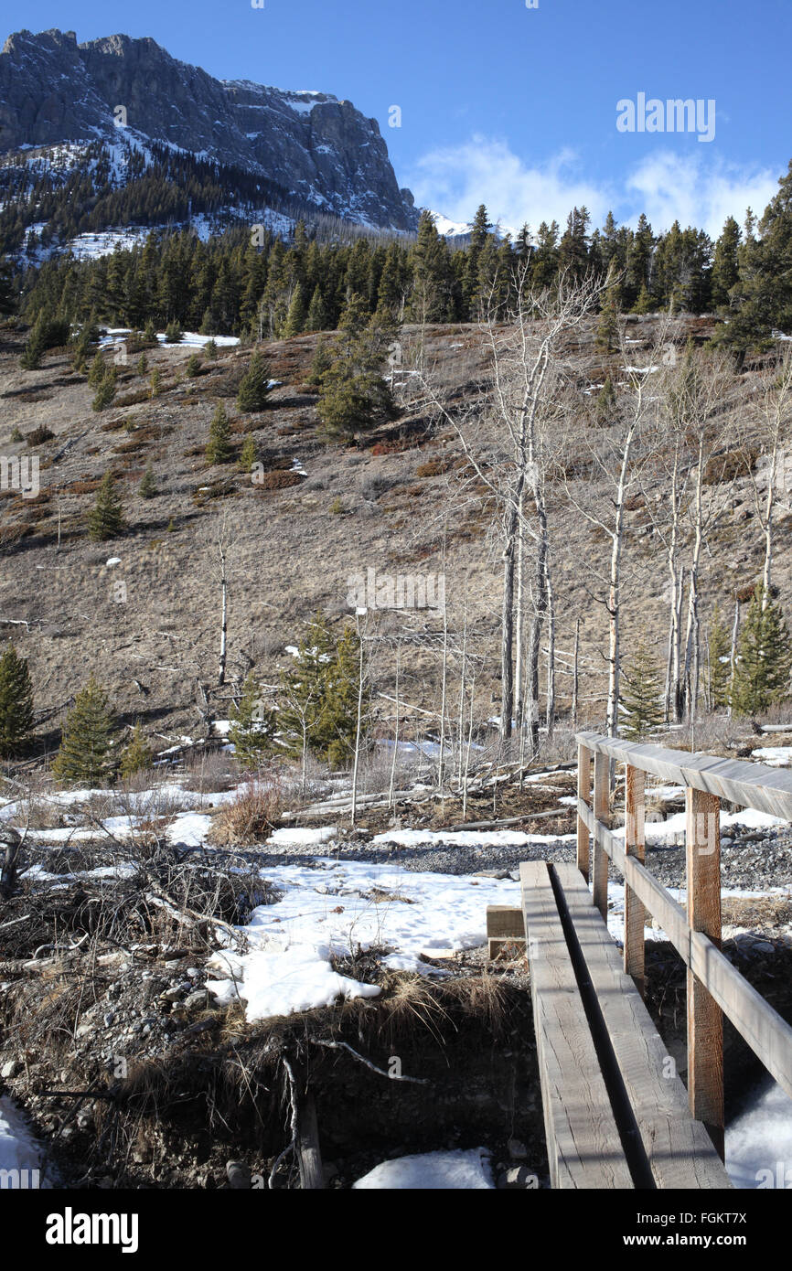 View from the wood bridge on Minnewanka Lake trail in Banff NP Stock Photo