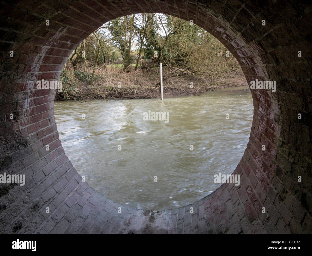 A flooded River Mole in Surrey in winter Stock Photo Alamy