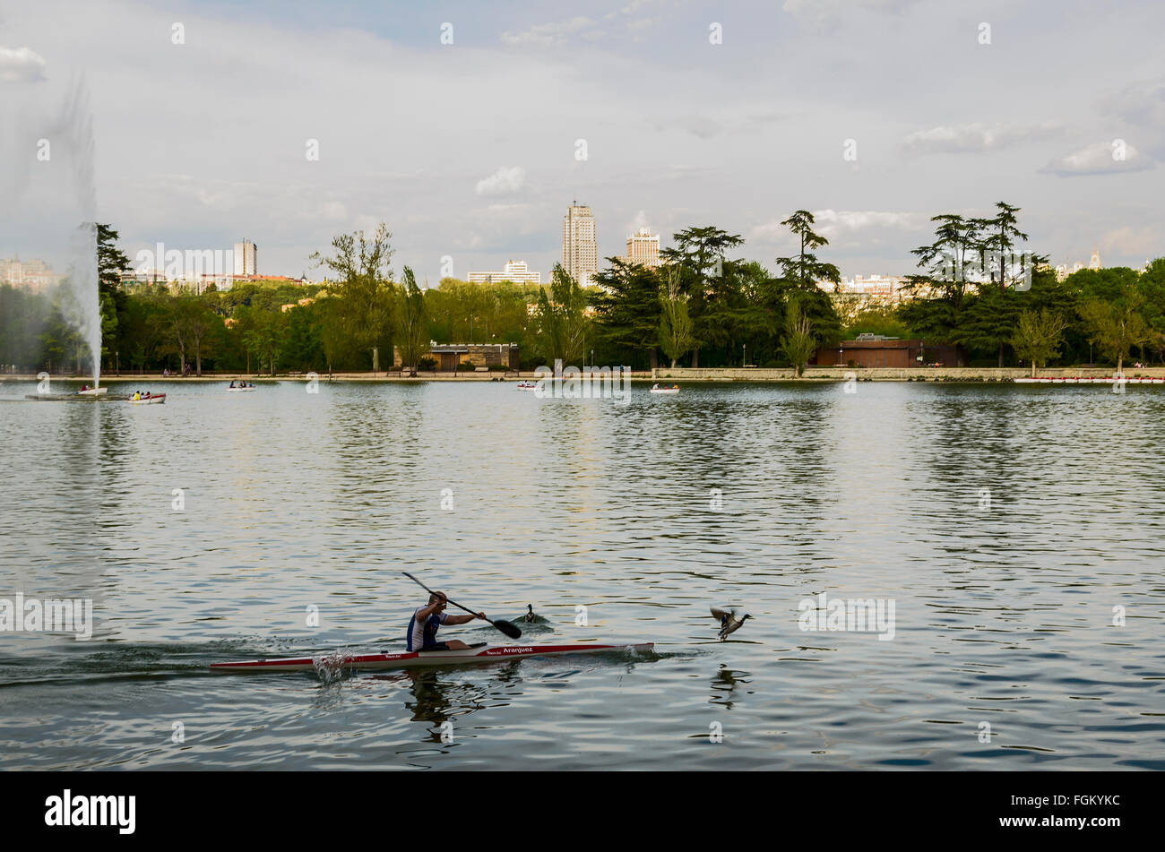 View of a ducks and a canoe on the lake of Country House, Madrid, Spain Stock Photo