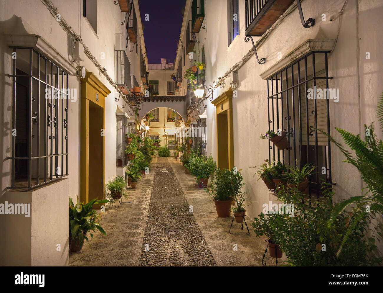 Cordoba - The beautiful decorated aisle in the centre of old town at night Stock Photo