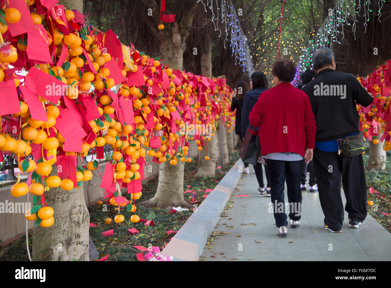 chinese new year wishing tree hong kong