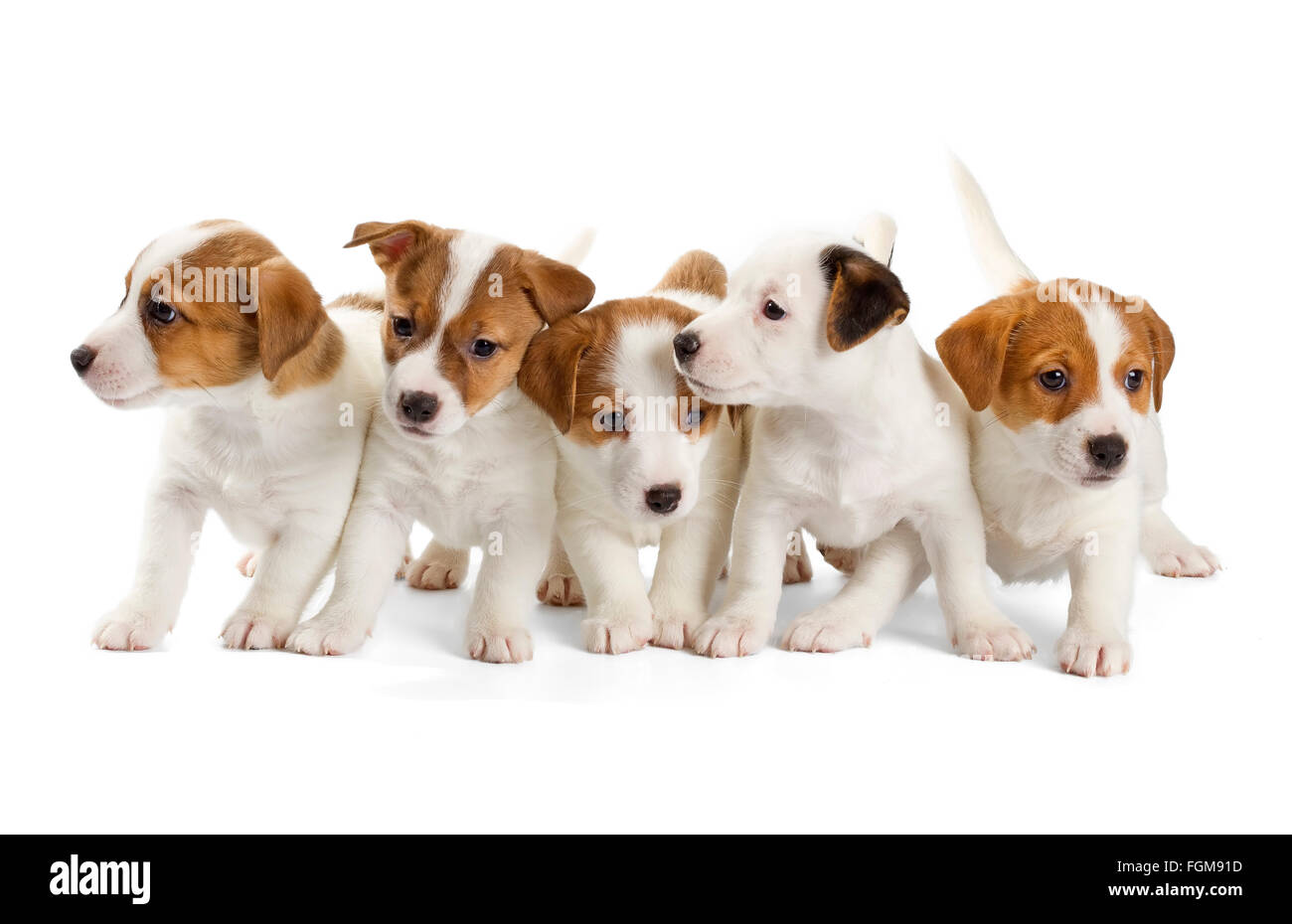 Russell Group Stock Photos Russell Group Stock Images Alamy