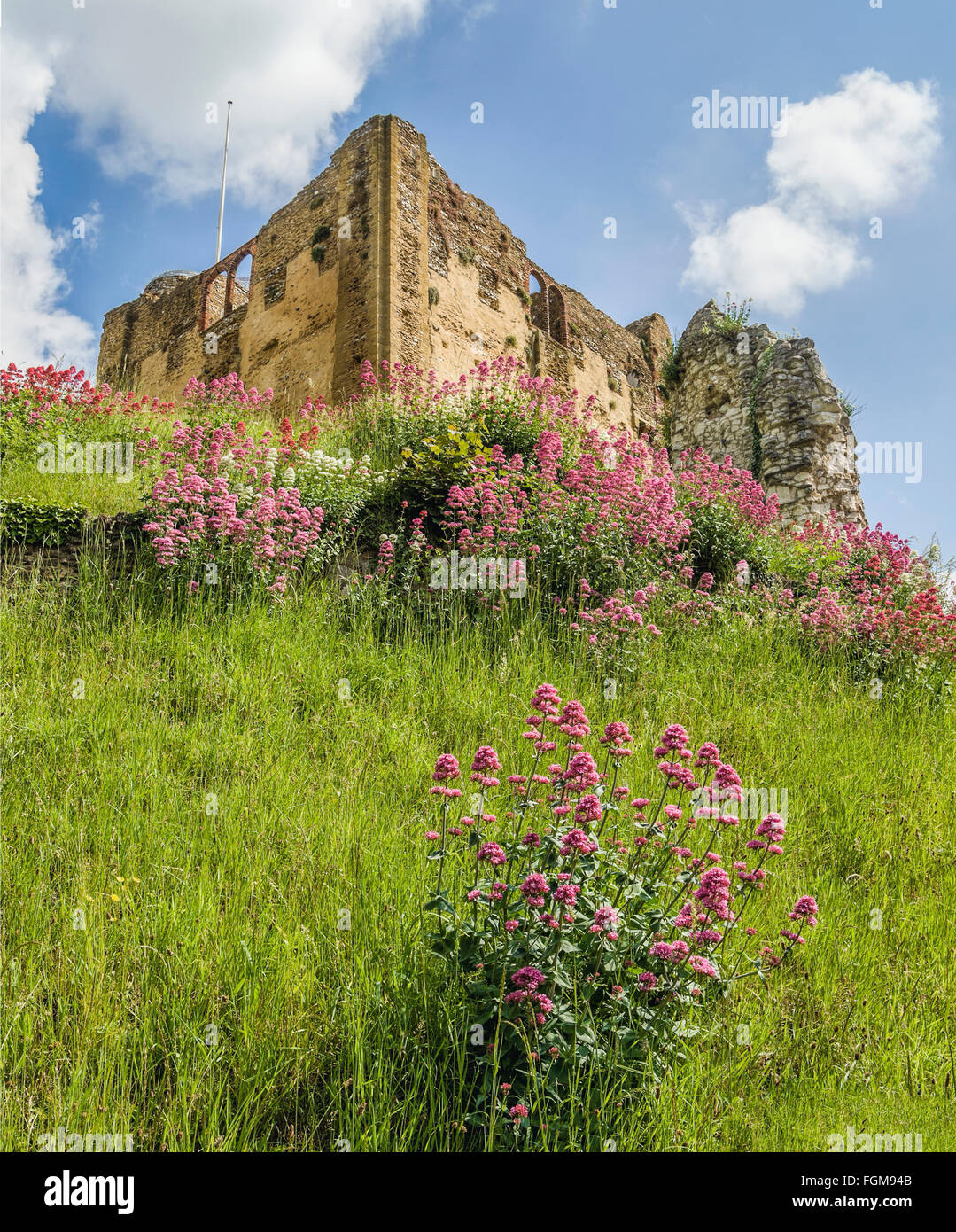 The keep of Guildford Castle, Surrey, England Stock Photo