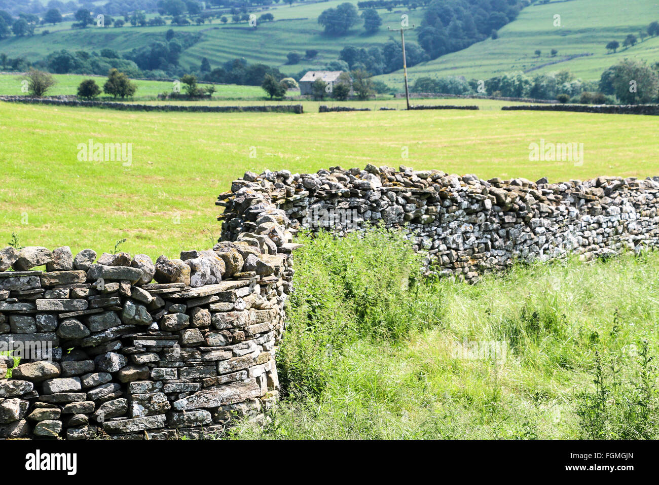 Dry stone wall,Carlton, Yorkshire Dales Yorkshie, England Stock Photo