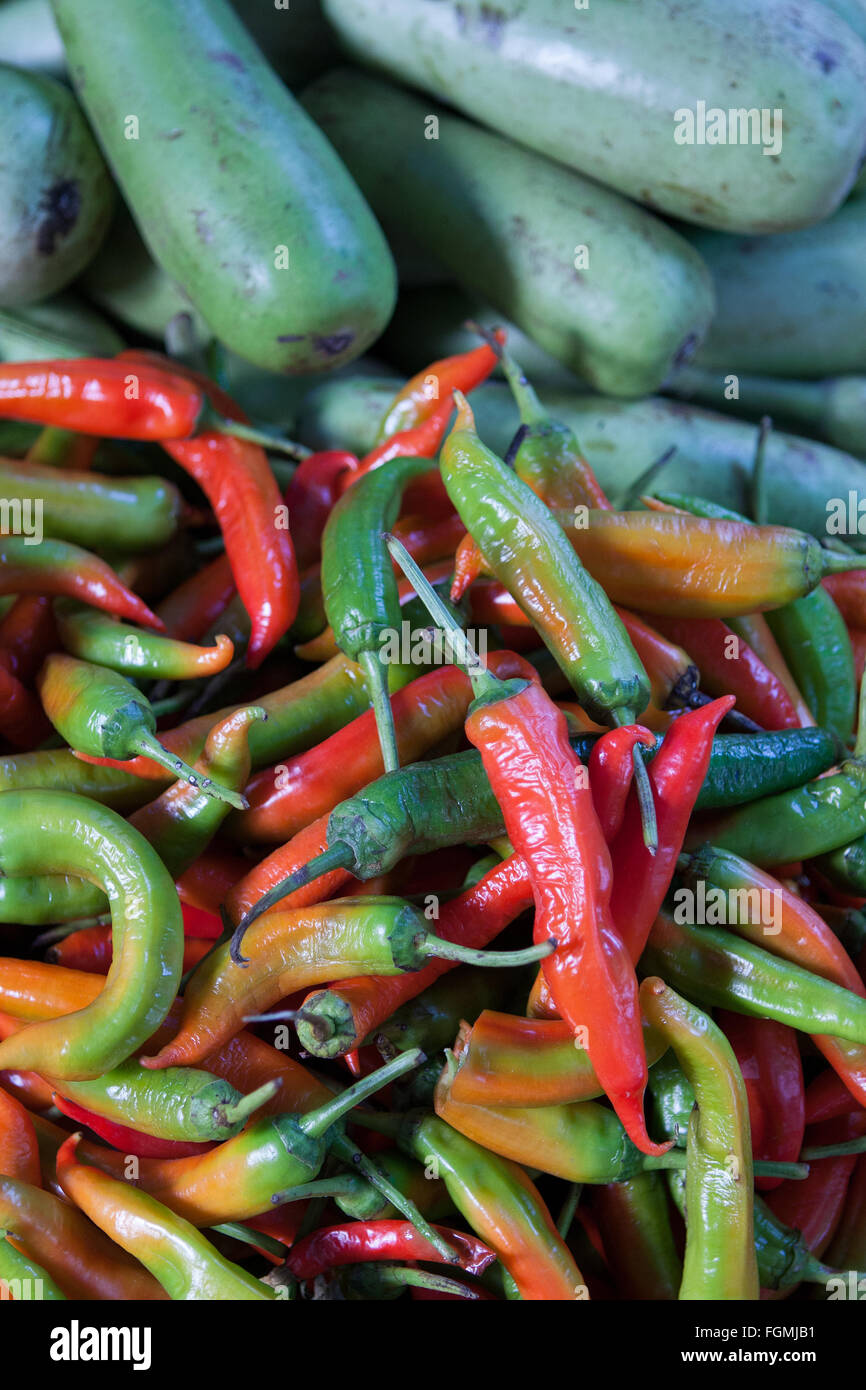 Red green chillies Stock Photo