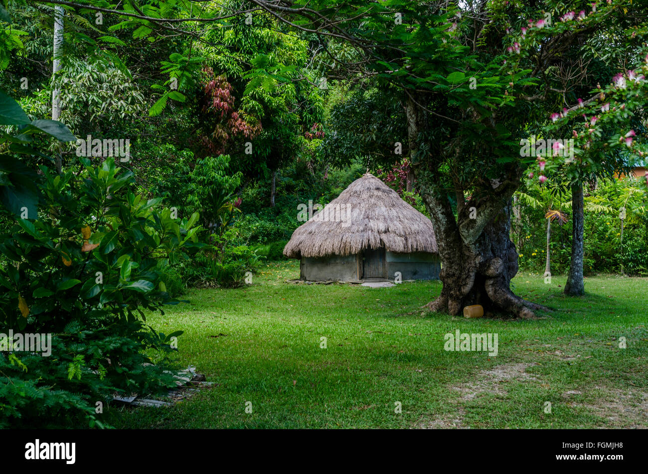 Traditional house in New Caledonia Stock Photo Alamy