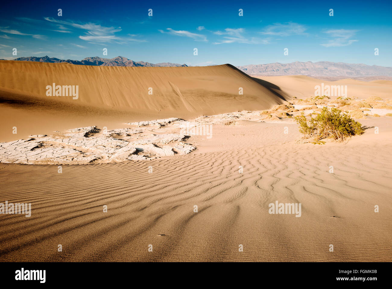 Mesquite Flat Sand Dunes in Death Valley National Park, California Stock Photo