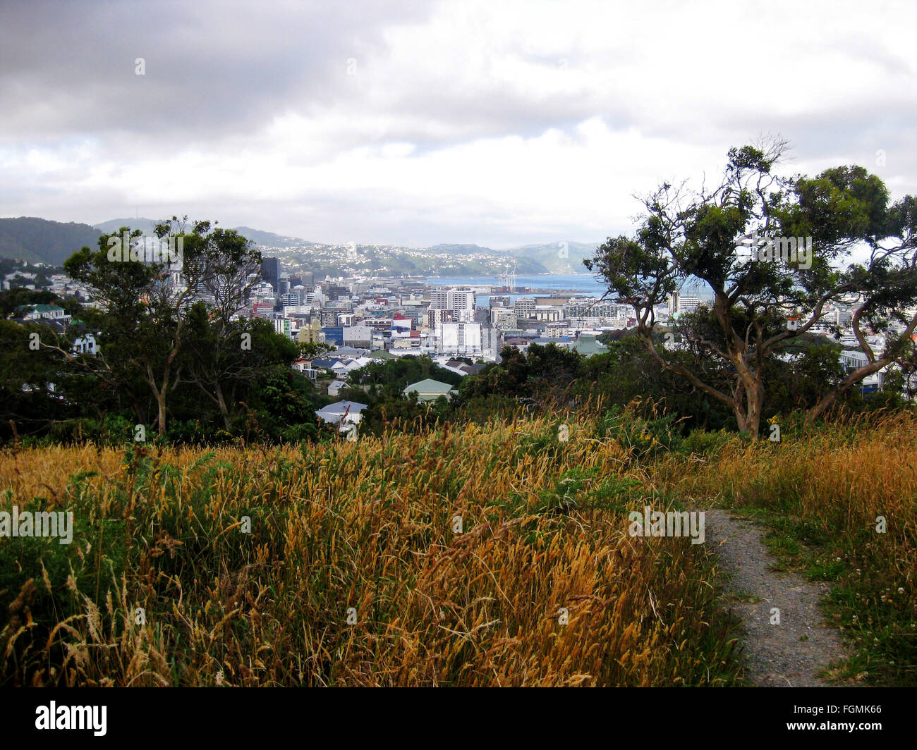 View of cit scape of Wellington New Zealand Stock Photo