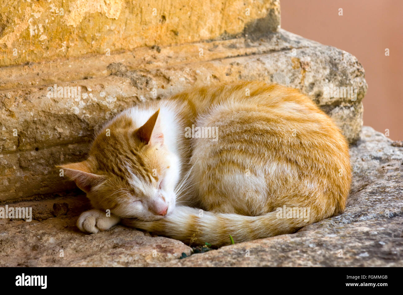 Griechenland, Kreta, das Arkadi-Kloster ist das bedeutendste Nationaldenkmal Kretas im kretischen Kampf um Unabhängigkeit vom Os Stock Photo