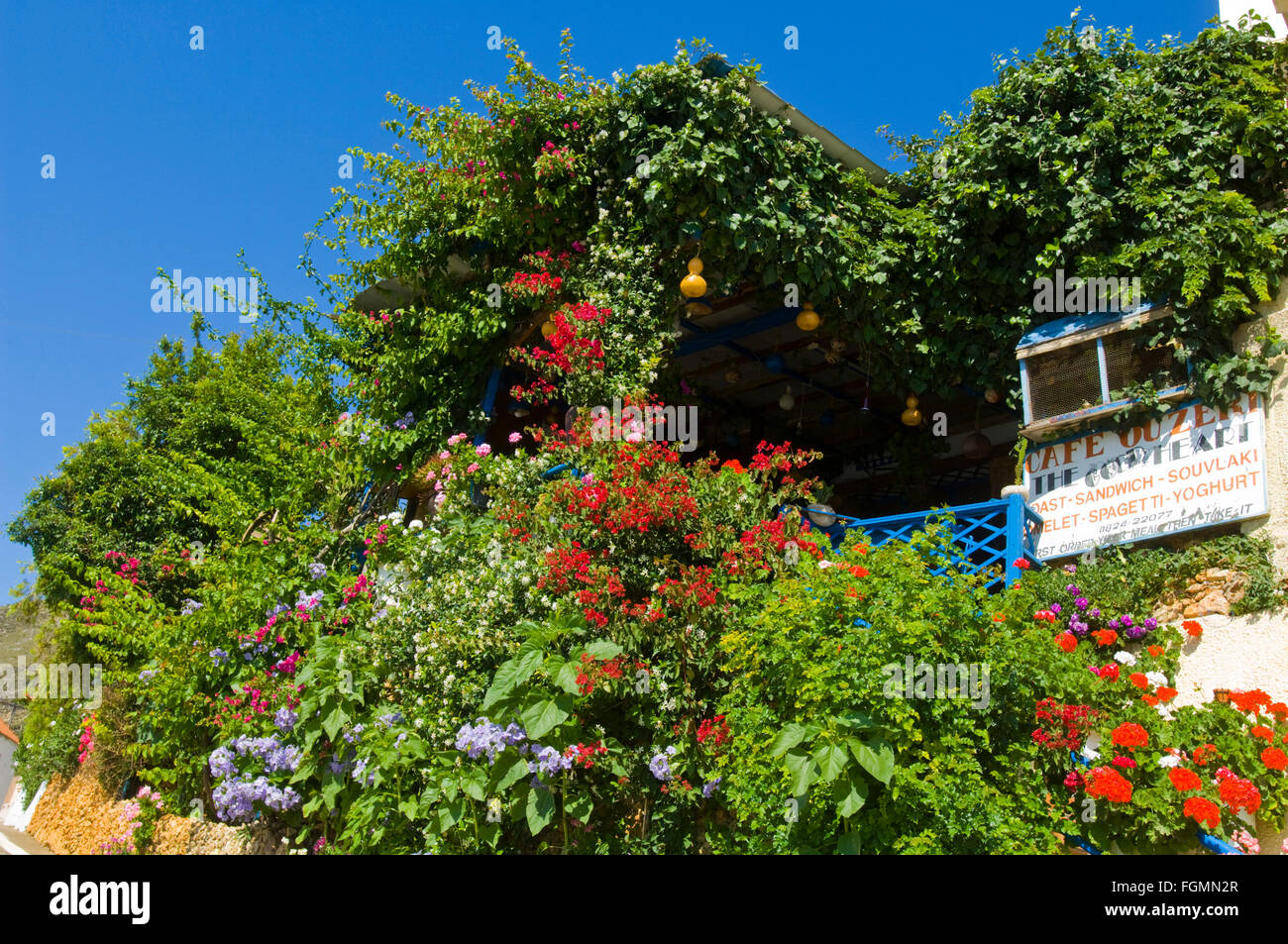 Griechenland, Kreta, Rodopouhalbinsel, Afrata, blumenumrankte Taverne Stock Photo