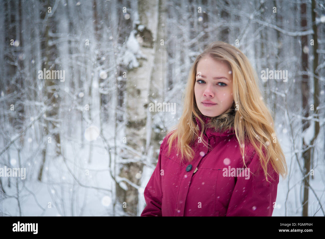 blond girl in a birch forest in winter Stock Photo - Alamy