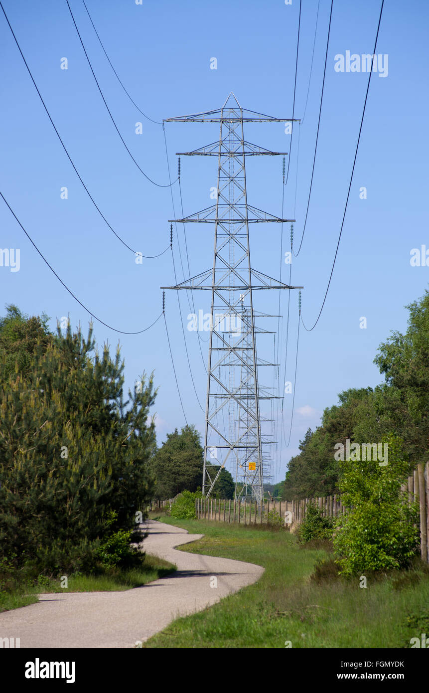 Electricity pole against a blue sky Stock Photo - Alamy