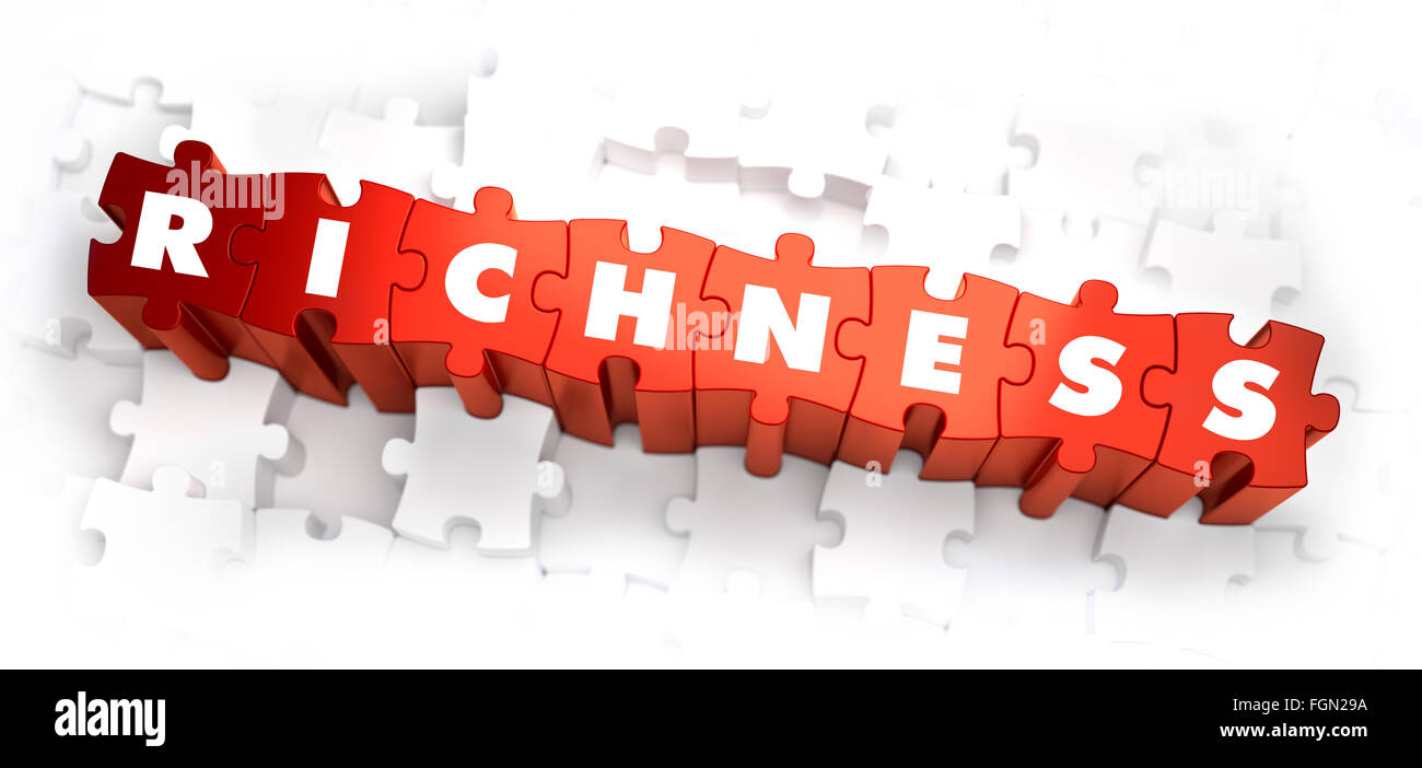Richness - White Word on Red Puzzles. Stock Photo