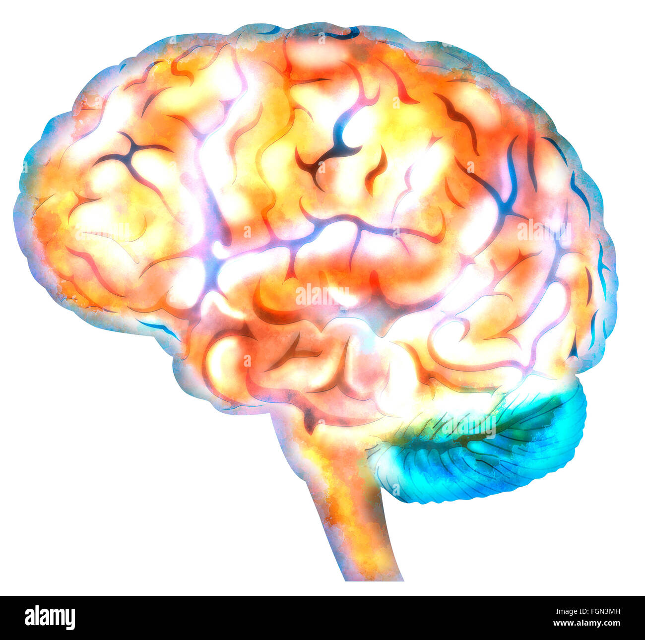 Brain neuron synapses, operating mind, reasoning Stock Photo