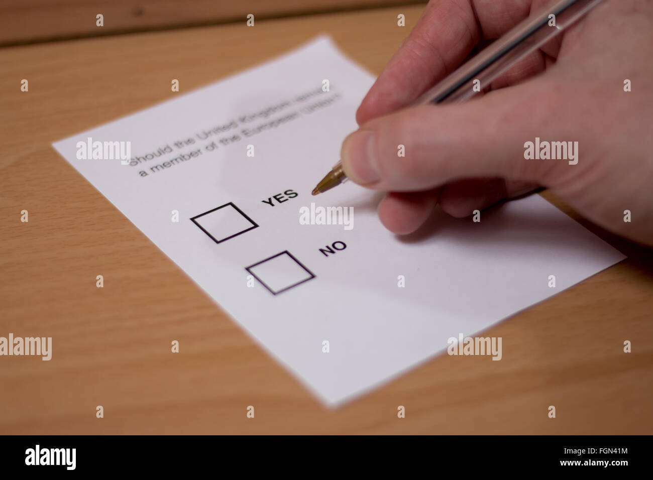 Someone choosing between YES or NO options on a voting ballot. Stock Photo