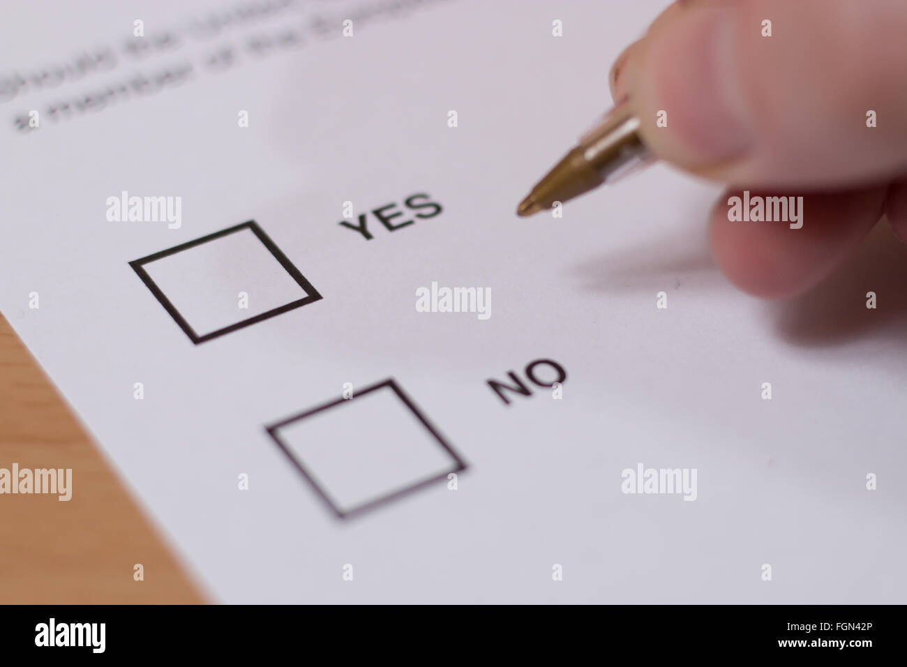 Someone choosing between YES or NO options on a voting ballot. Stock Photo