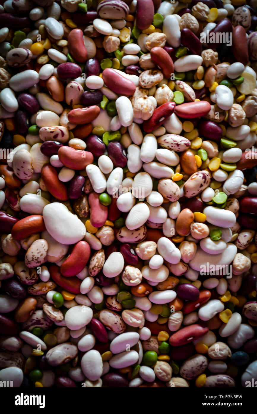 A huge pile of mixed dried beans of all varieties make a colorful