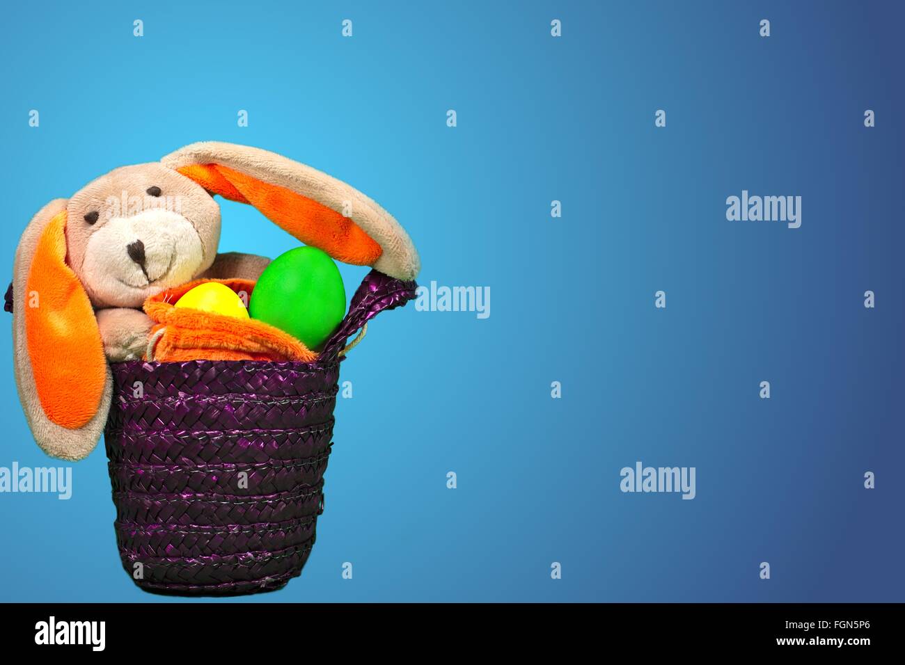 a Easter Bunny Stock Photo