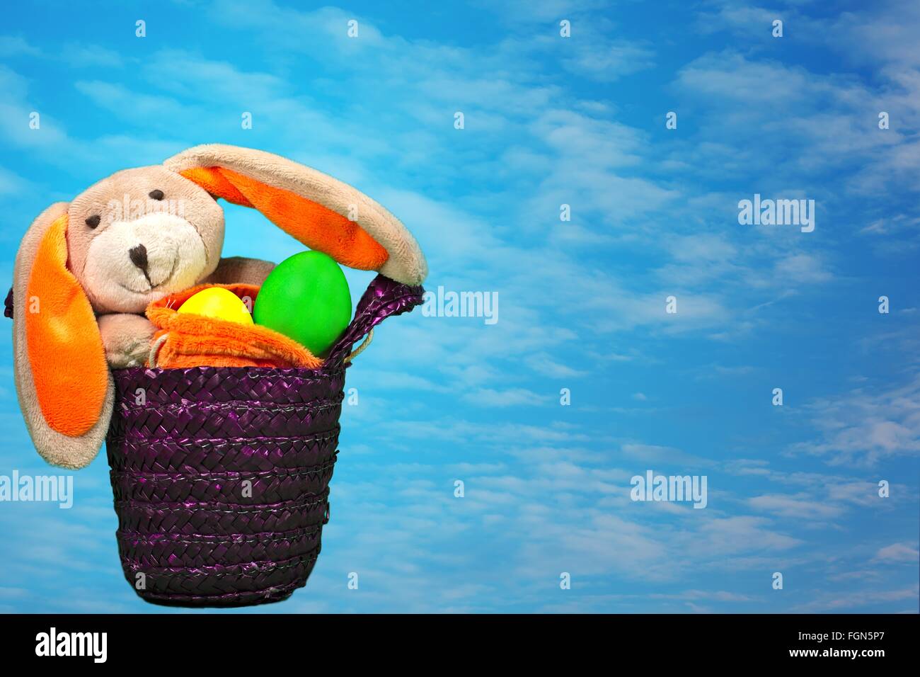 a Easter Bunny Stock Photo