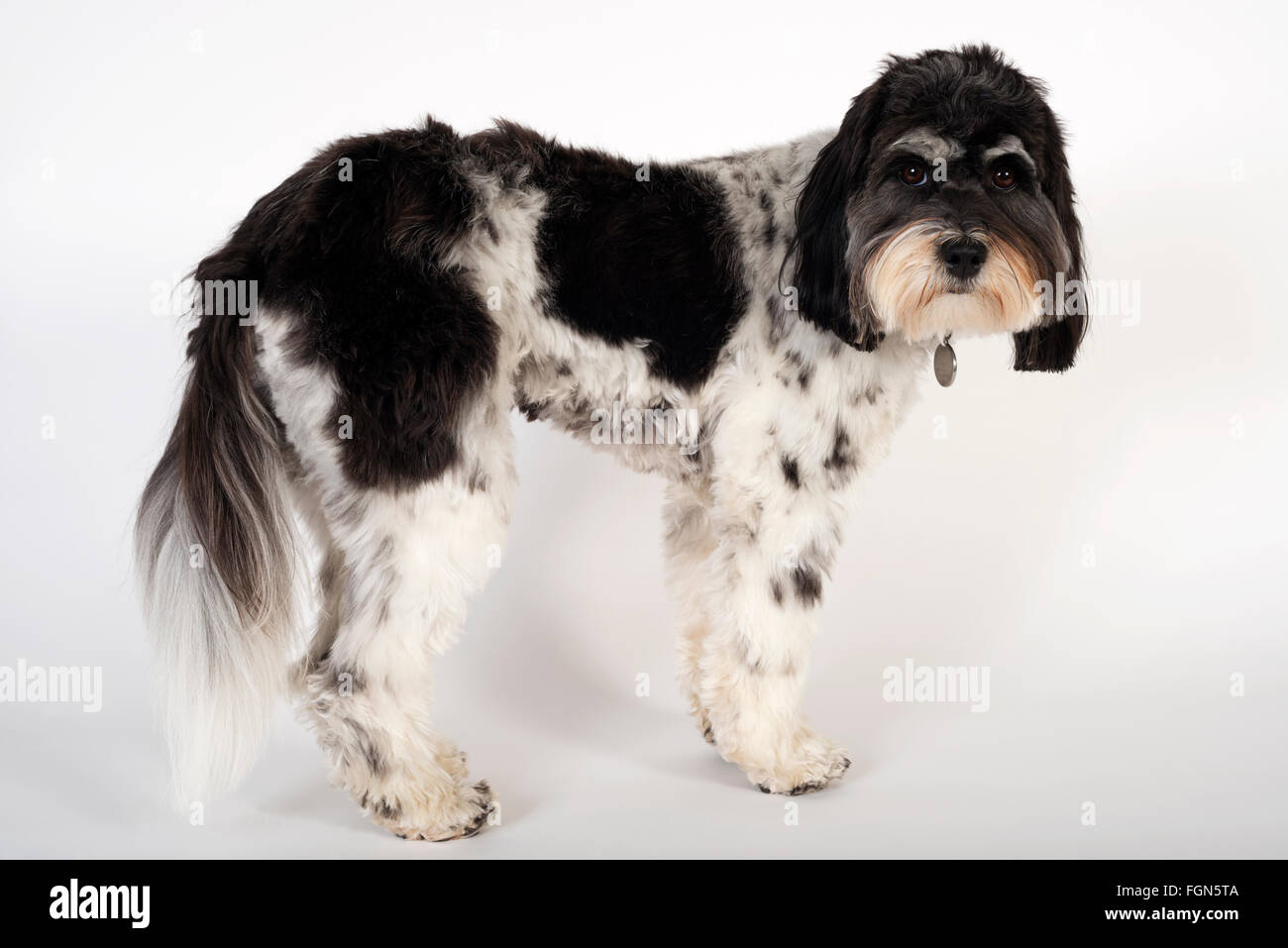 Aha hi-res stock photography and images - Alamy