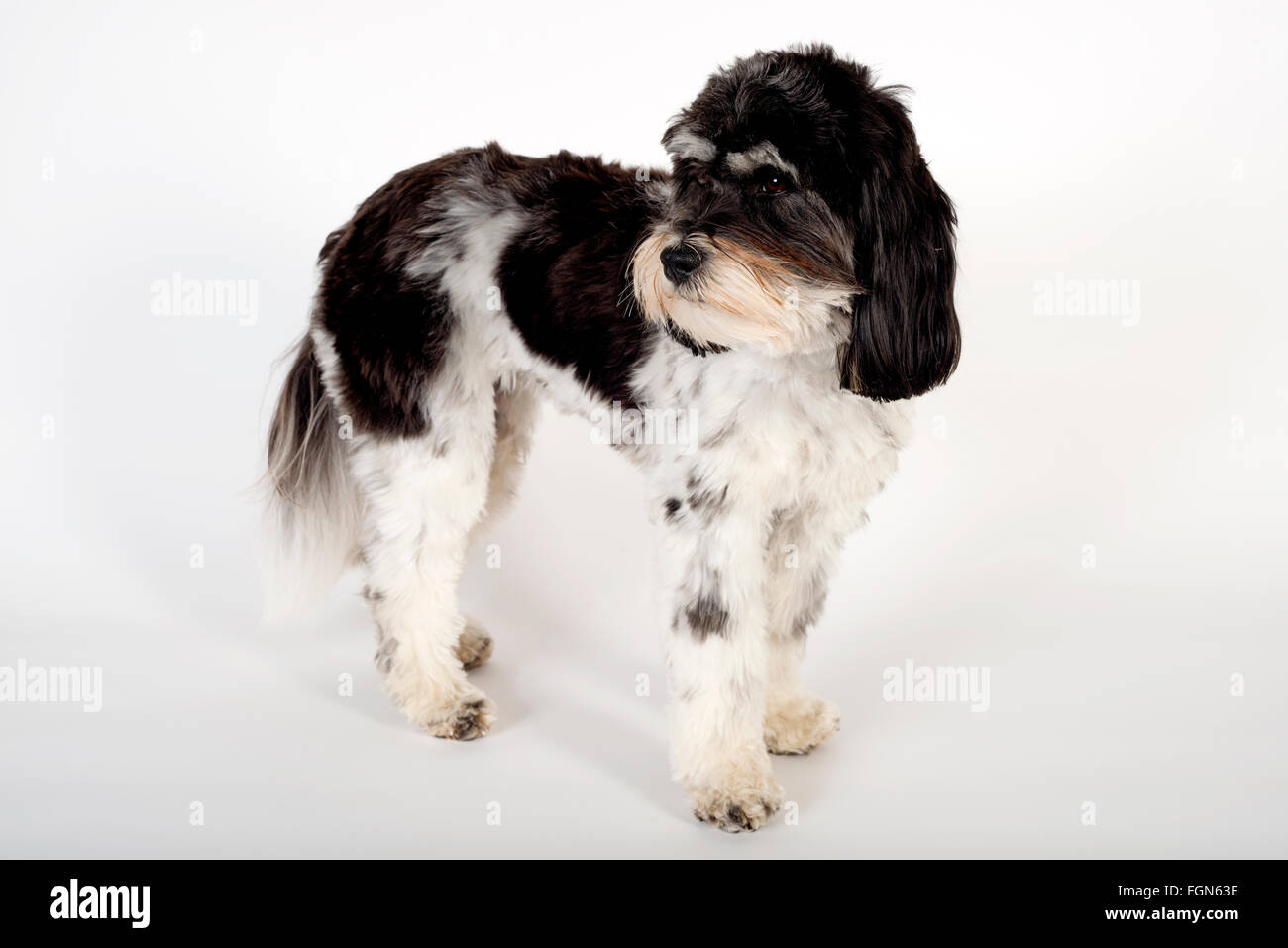 Aha hi-res stock photography and images - Alamy
