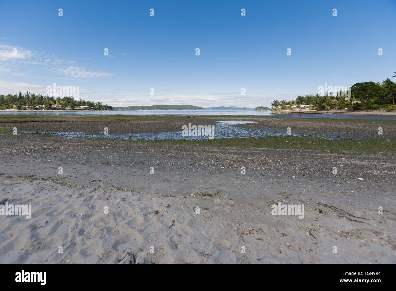 Low tide on Vancouver Island Stock Photo Alamy