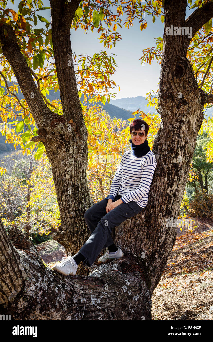 Woman on a tree, autumn leaves chestnut forest Igualeja, Genal valley, Serrania de Ronda. Malaga province, Andalusia Southern Sp Stock Photo
