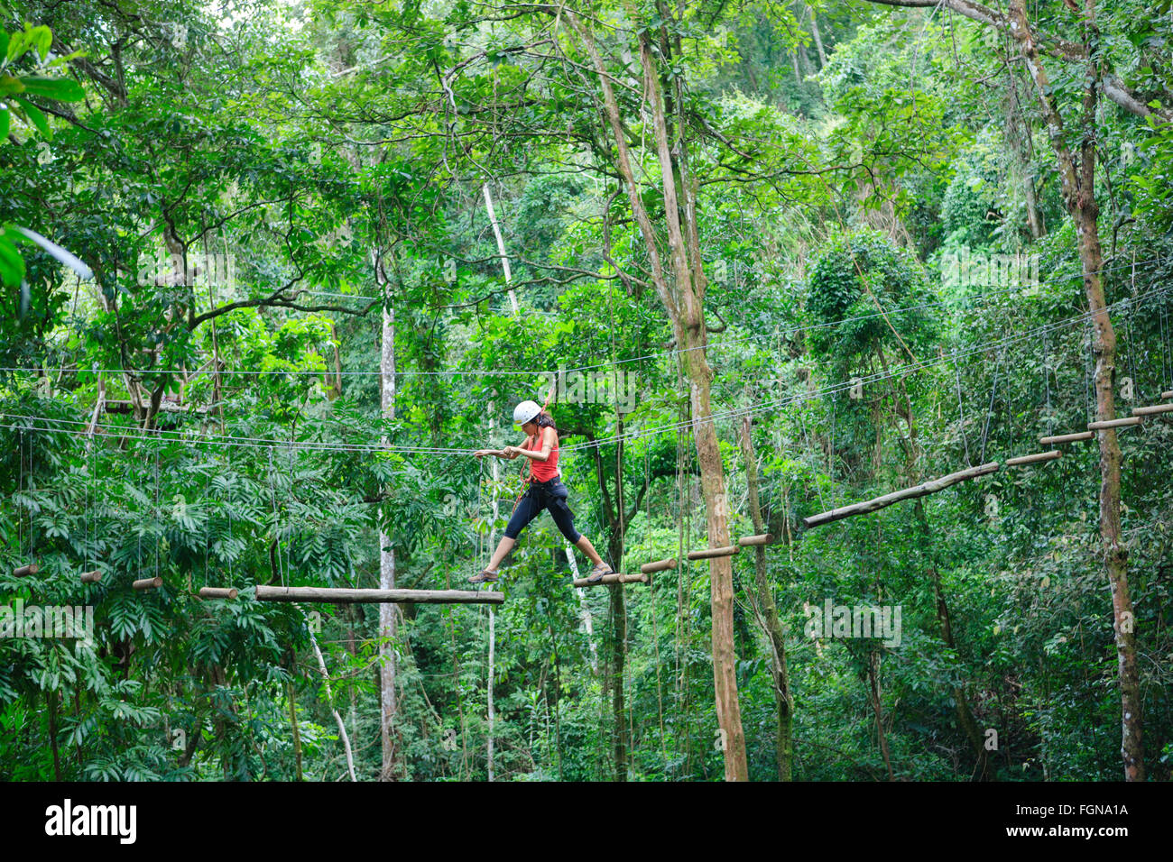 Treetop adventure hi-res stock photography and images - Alamy