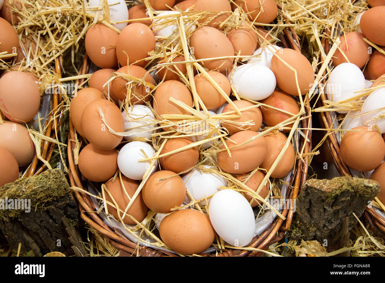 Farm chicken eggs Stock Photo