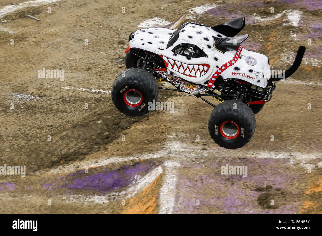New Orleans, LA, USA. 20th Feb, 2016. Monster Mutt monster truck in action during Monster Jam at the Mercedes-Benz Superdome in New Orleans, LA. Stephen Lew/CSM/Alamy Live News Stock Photo