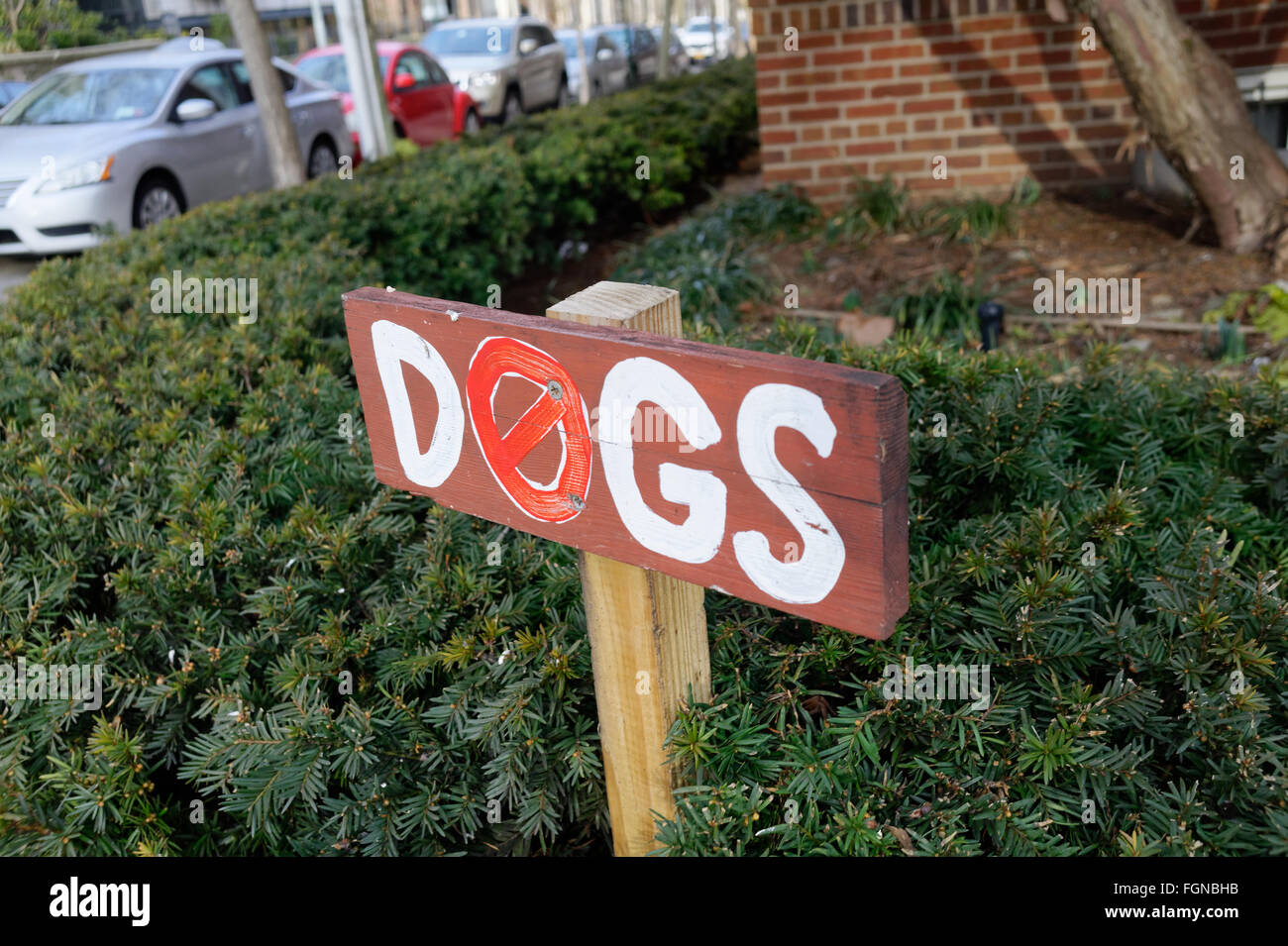 No dogs allowed wood sign Stock Photo