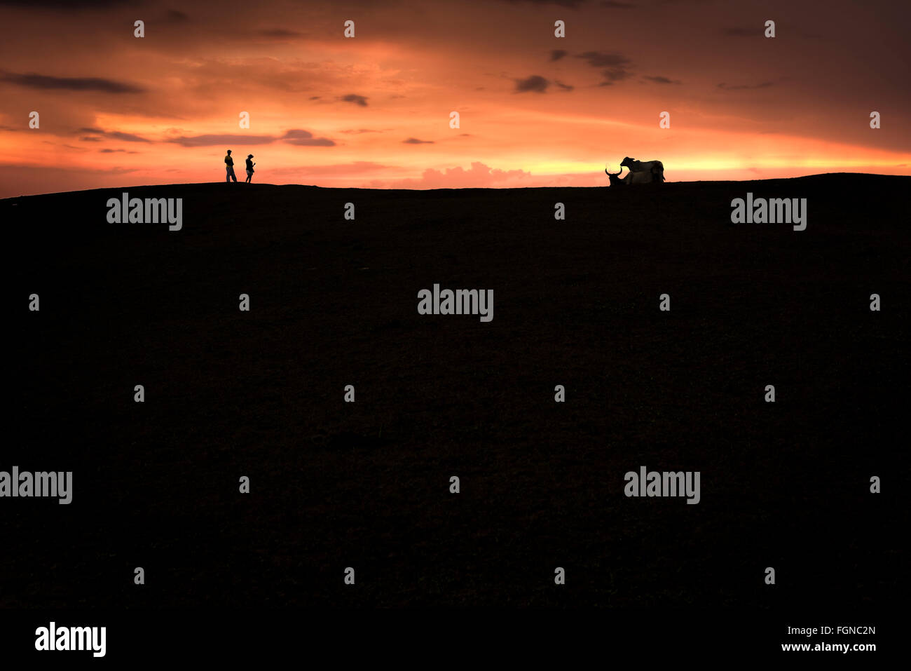 Two couples on a hill at sunset Stock Photo - Alamy