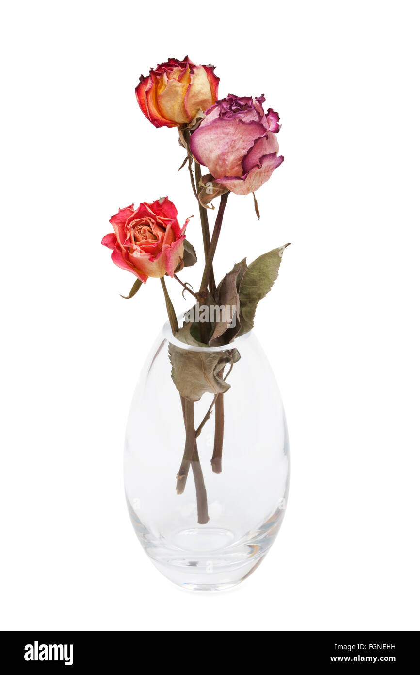 Bouquet dead roses hi-res stock photography and images - Alamy
