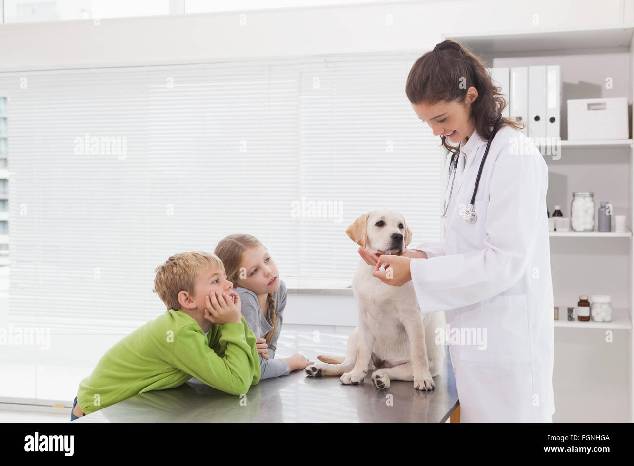 Smiling vet examining a dog with its owners Stock Photo - Alamy