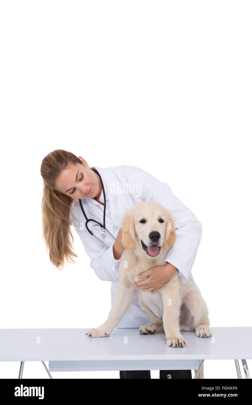 Vet giving a puppy a check up Stock Photo - Alamy