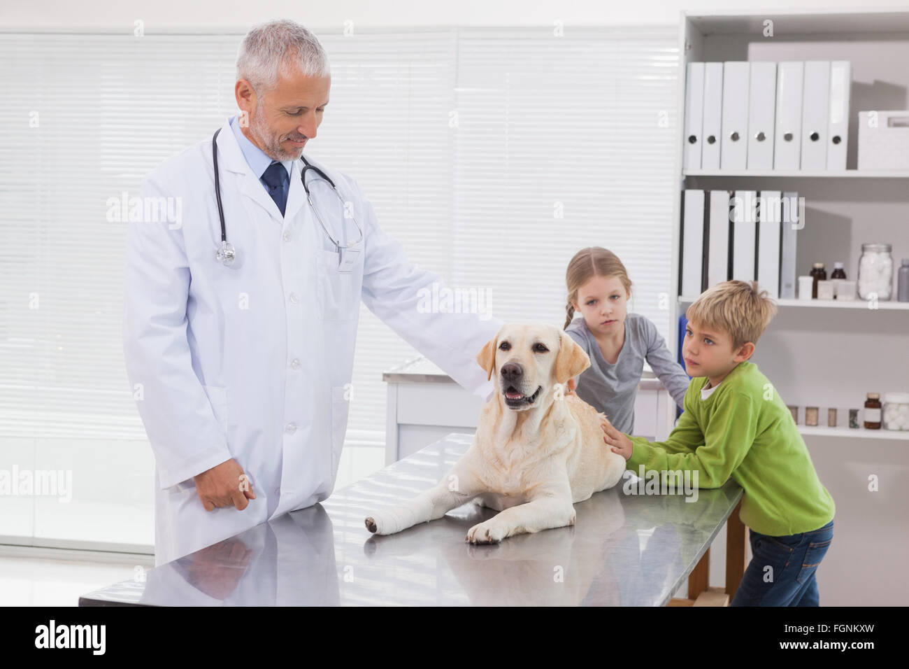 Vet examining a dog with its owners Stock Photo - Alamy