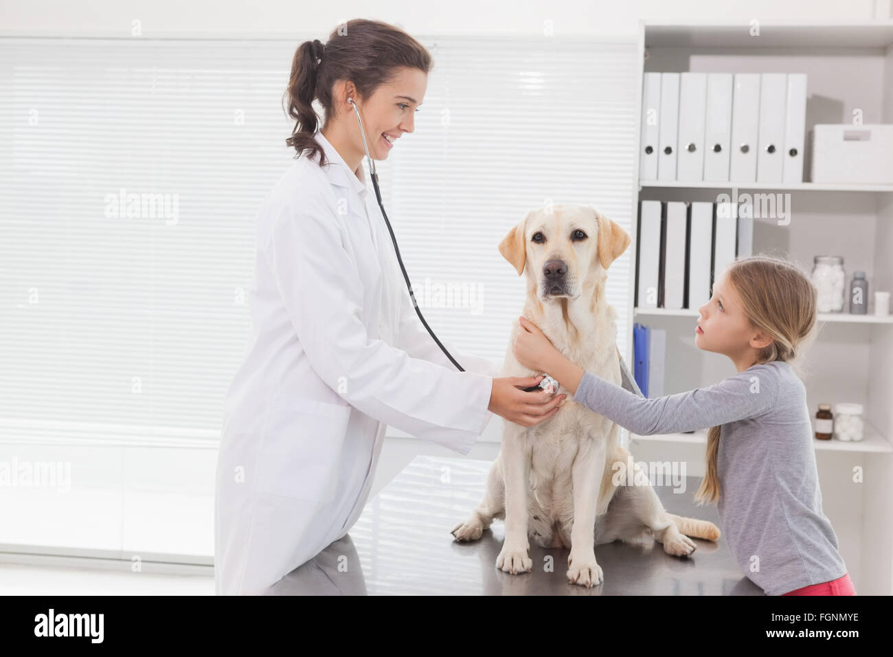 Vet examining a dog with its owner Stock Photo - Alamy