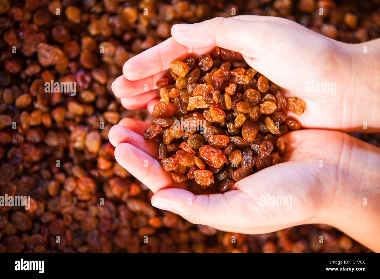Raisins held in palms Stock Photo - Alamy